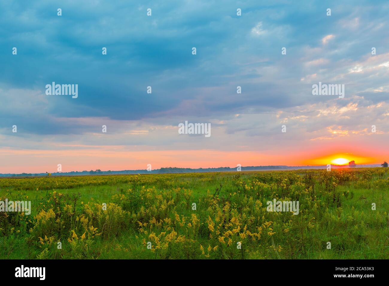 View of sunrise above prairie, Prairie Ridge State Natural Area, Marion