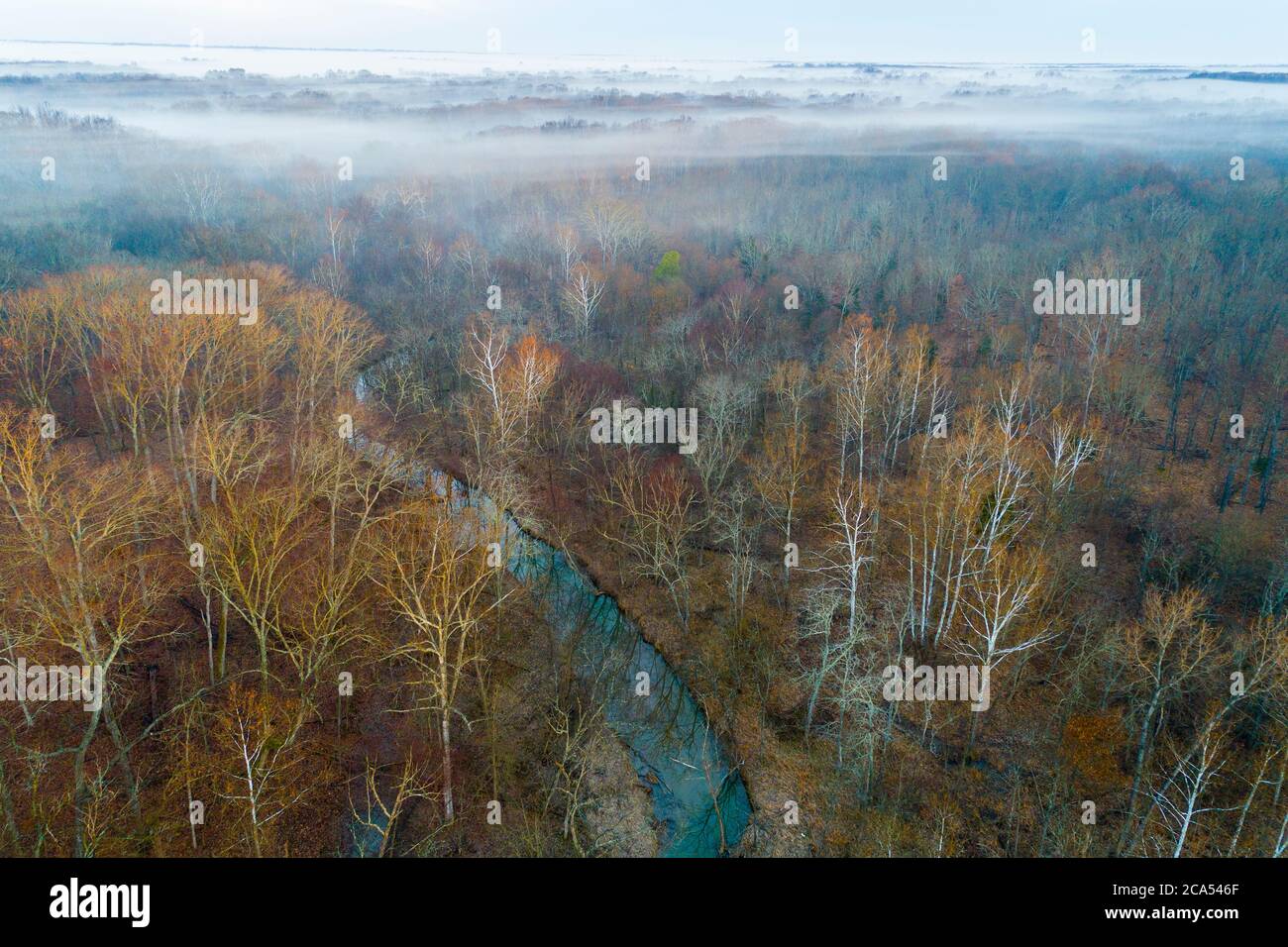 Aerial view of stream in forest in foggy day, Stephen A. Forbes State Park, Marion Co., Illinois, USA Stock Photo