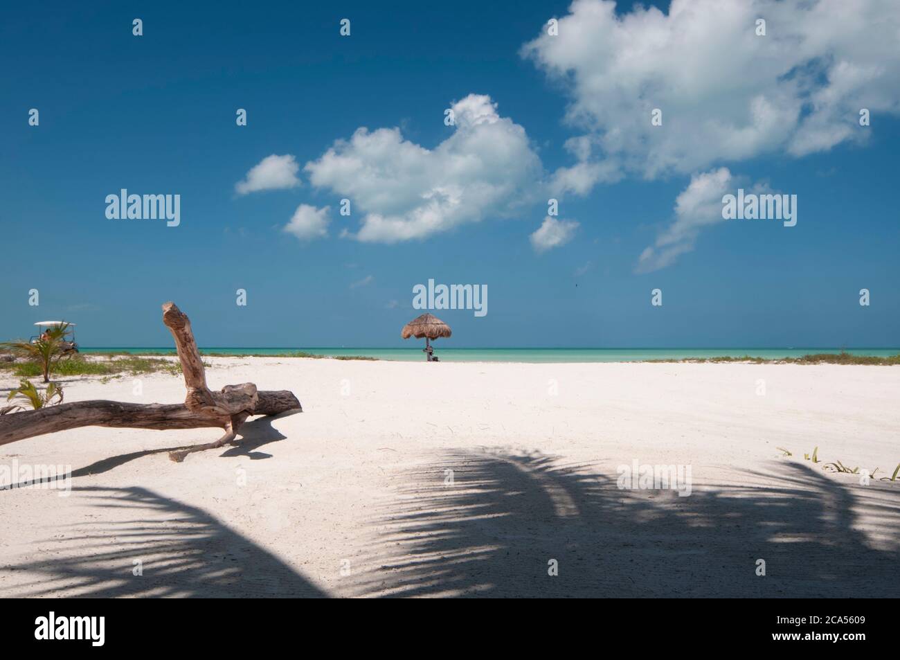 White sand beach and Caribbean ocean view. In the background, a natural umbrella on the beach and a golf car drives the coastal road, Holbox Island, M Stock Photo