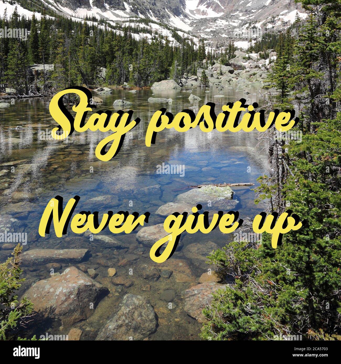 Stay positive, never give up. Motivational quote poster. Success ...