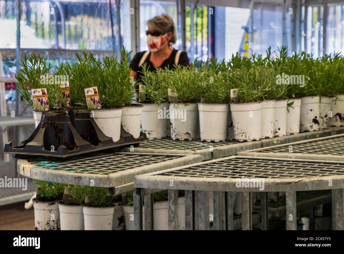 May 2, 2020- Montreal, Canada: Woman wearing a cloth face mask while shopping,herbs pots in foreground at garden center, COVID-19 Coronavirus Pandemic Stock Photo