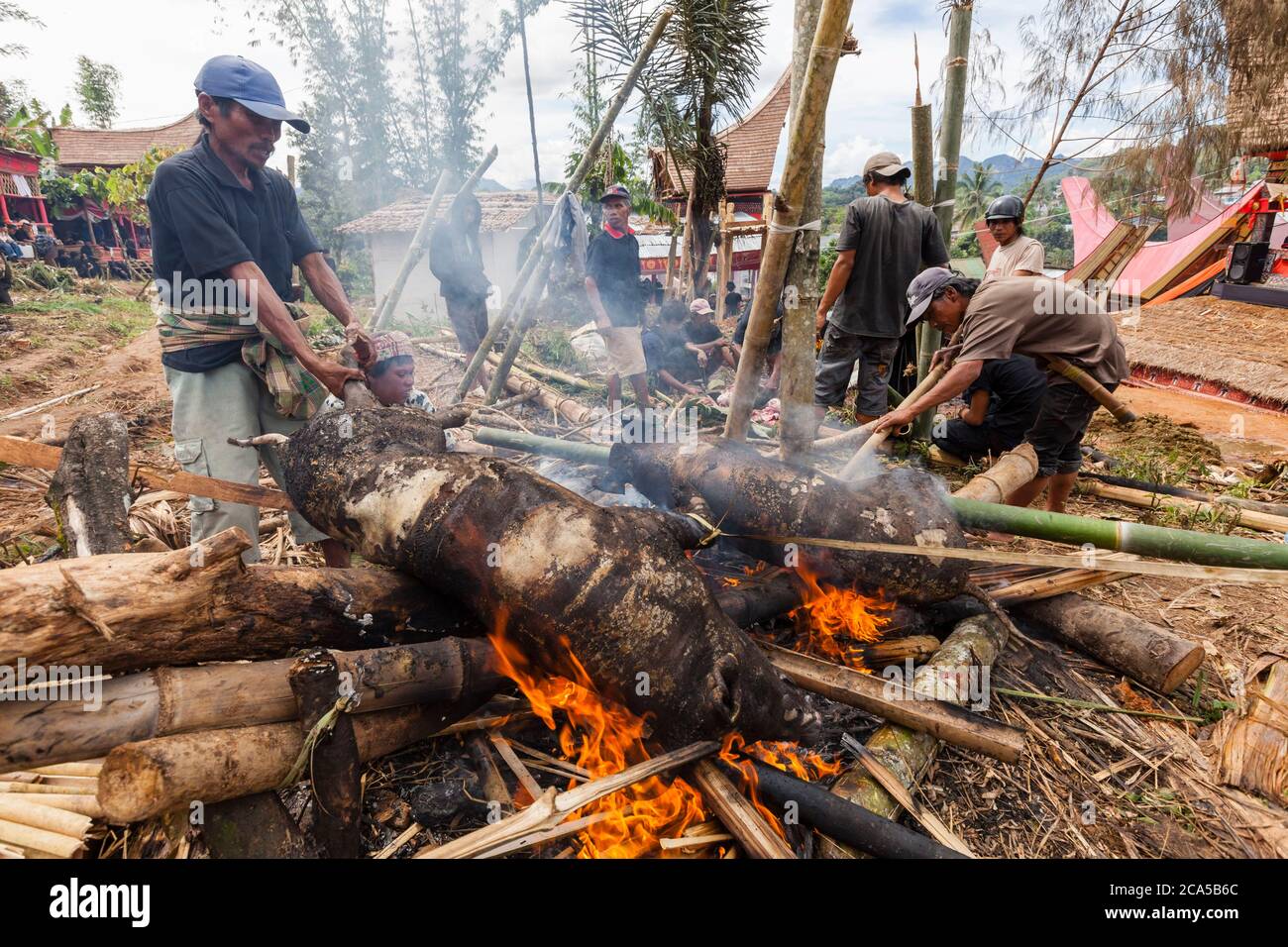 Indonesia, Sulawesi, Tana Toraja, Makale, funeral ceremony, cleaning pork meat in fire Stock Photo