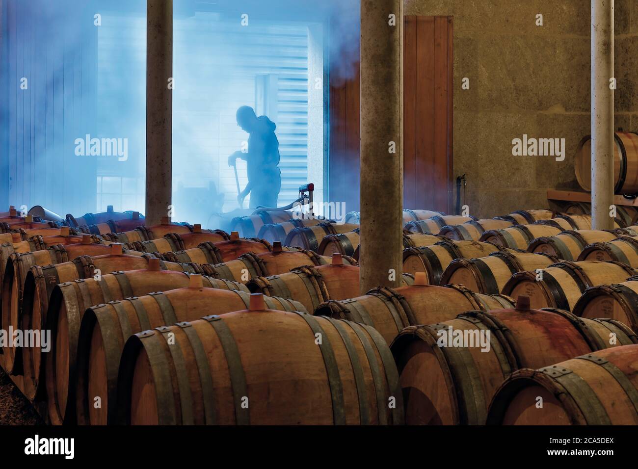 France, Aude (11), Antugnac, Delmas winery, interior of a cellar for