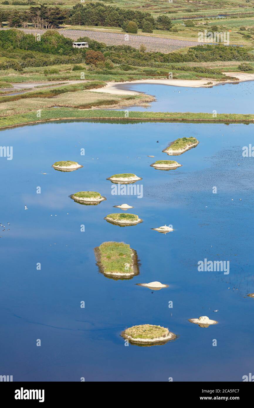France, Vendee, L'Ile d'Olonne, the observatory and small islands in the birds sanctuary (aerial view) Stock Photo