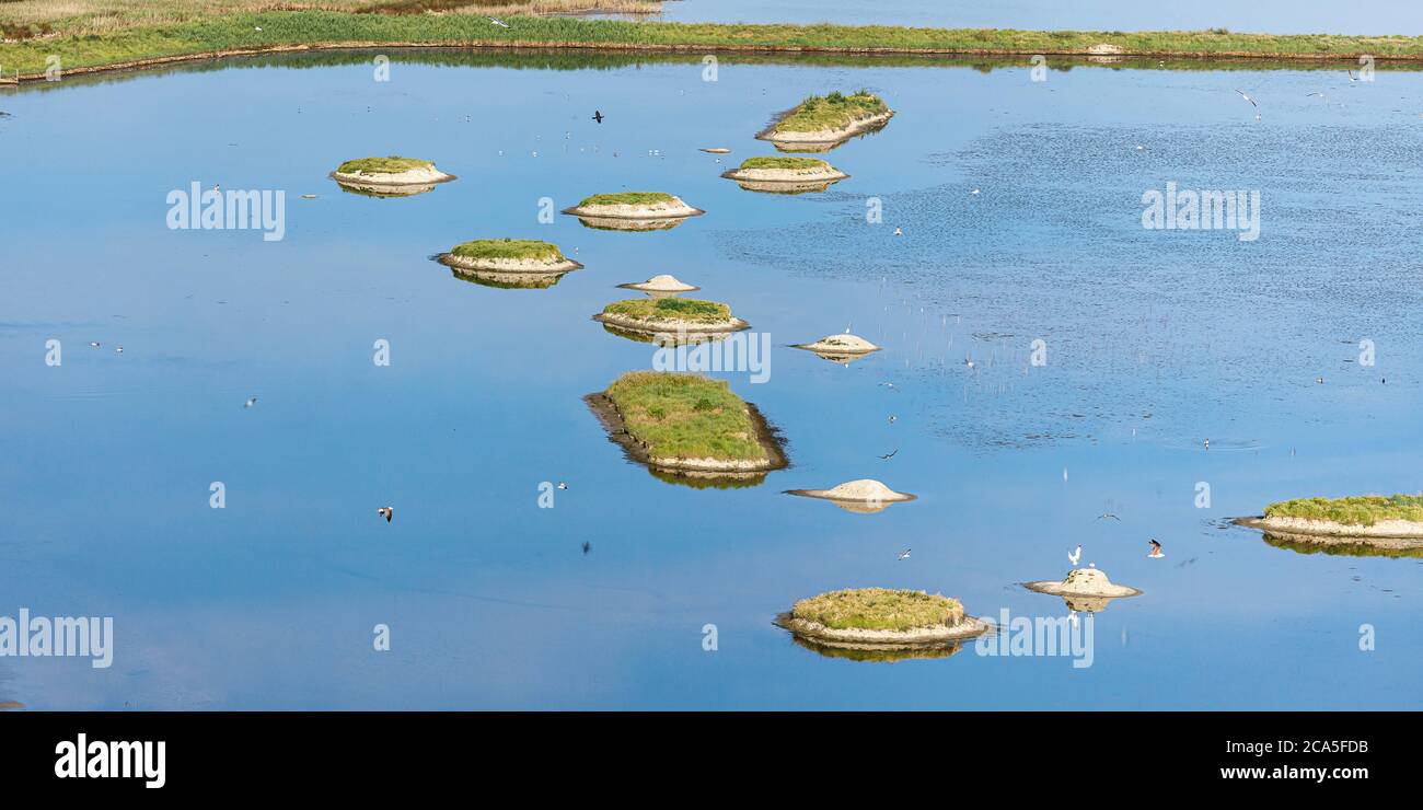 France, Vendee, L'Ile d'Olonne, small islands in the birds sanctuary (aerial view) Stock Photo