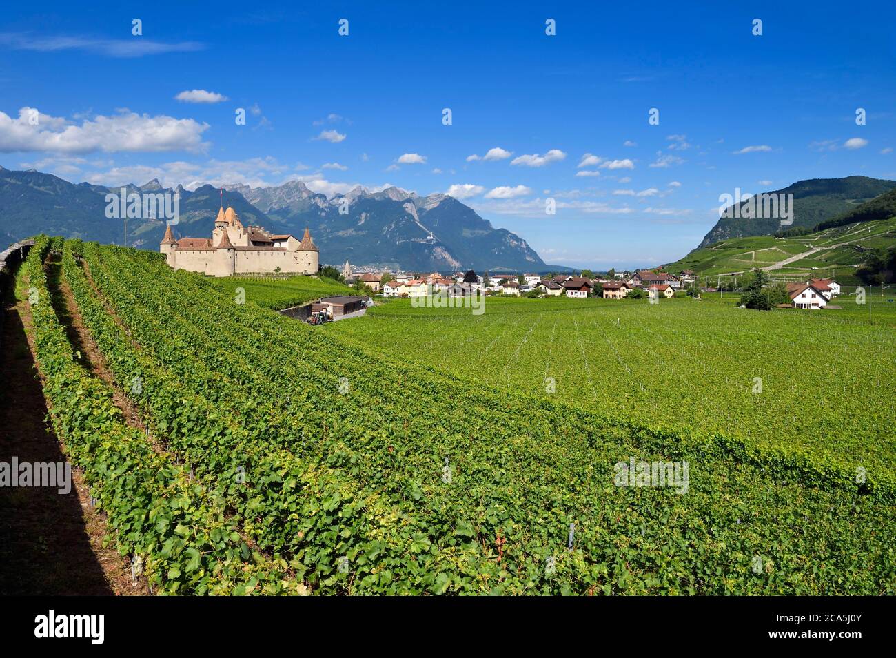 Switzerland, Canton of Vaud, Aigle, the castle surrounded by vineyards