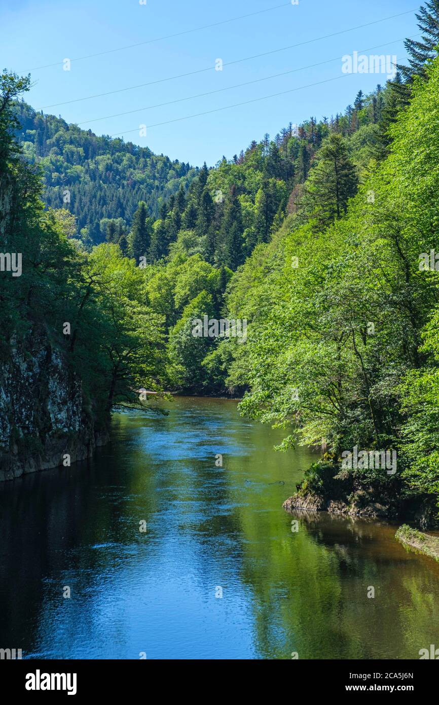 France, Cantal, Saint Amandin, gorges of the Rhue, regional natural park volcanoes of Auvergne (Parc naturel r?gional des Volcans d'Auvergne) Stock Photo