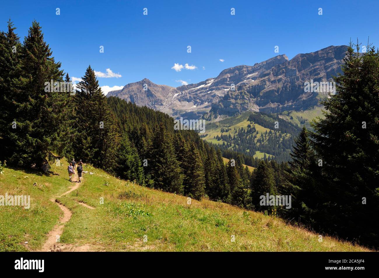 Switzerland, Canton of Vaud, Villars-sur-Ollon, hike from the Bretaye pass to the Croix pass passing through the hamlet of Ensex Stock Photo