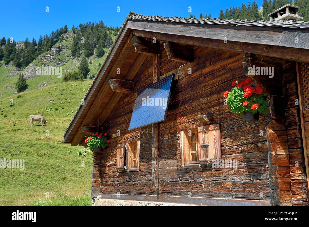 Switzerland, Canton of Vaud, Villars-sur-Ollon, hike from the Bretaye pass to the Croix pass passing through the hamlet of Ensex, chalet with photovoltaic solar panel in the hamlet of Ensex Stock Photo