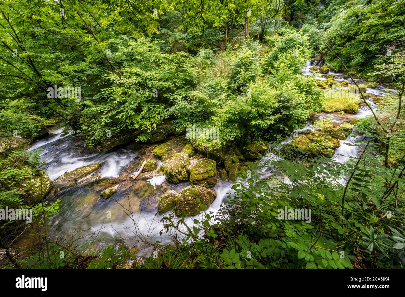 France, Isere, Vercors Regional Park, hike to the Cuves de Sassenage on the banks of the Furon river Stock Photo