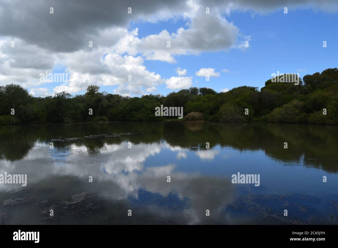 Photograph of sky reflected in pool hi-res stock photography and images ...