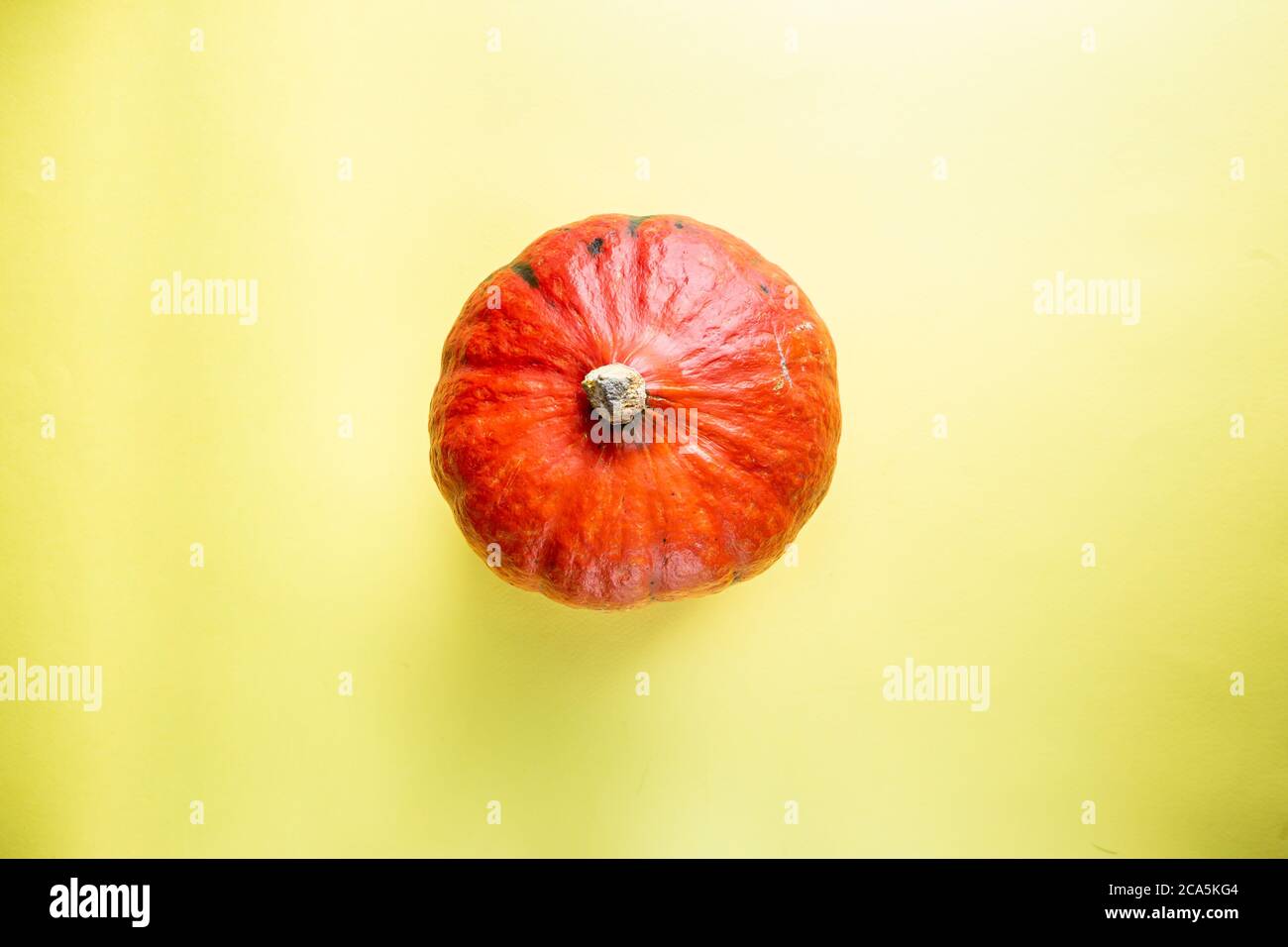 Top view of decorative orange pumpkins, isolated on yellow background ...