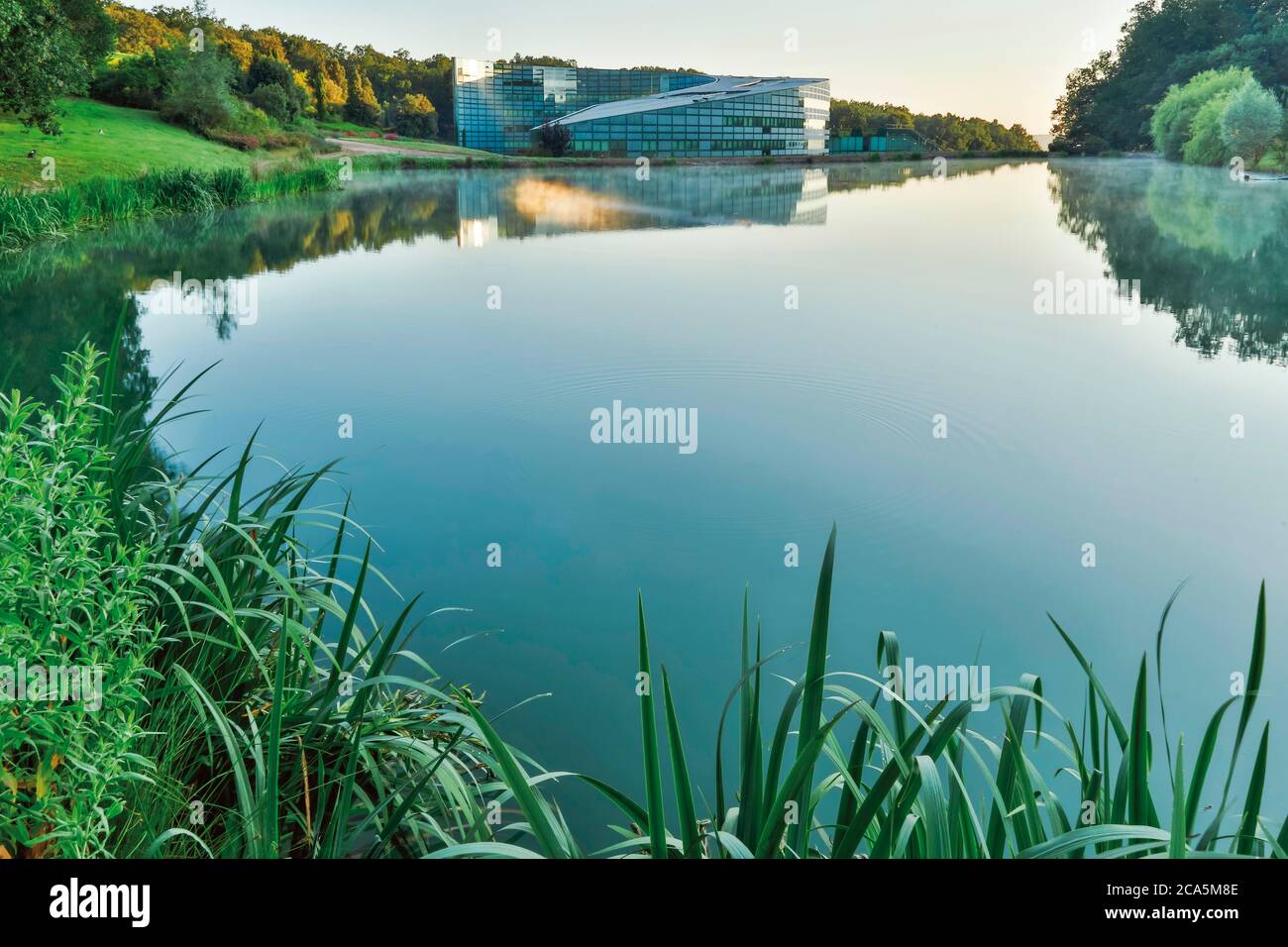 France, Tarn, Pierre Fabre laboratories, Lavaur, Les Cauquillous, exterior of a building of modern and contemporary architecture in glass at sunrise in lush greenery Stock Photo