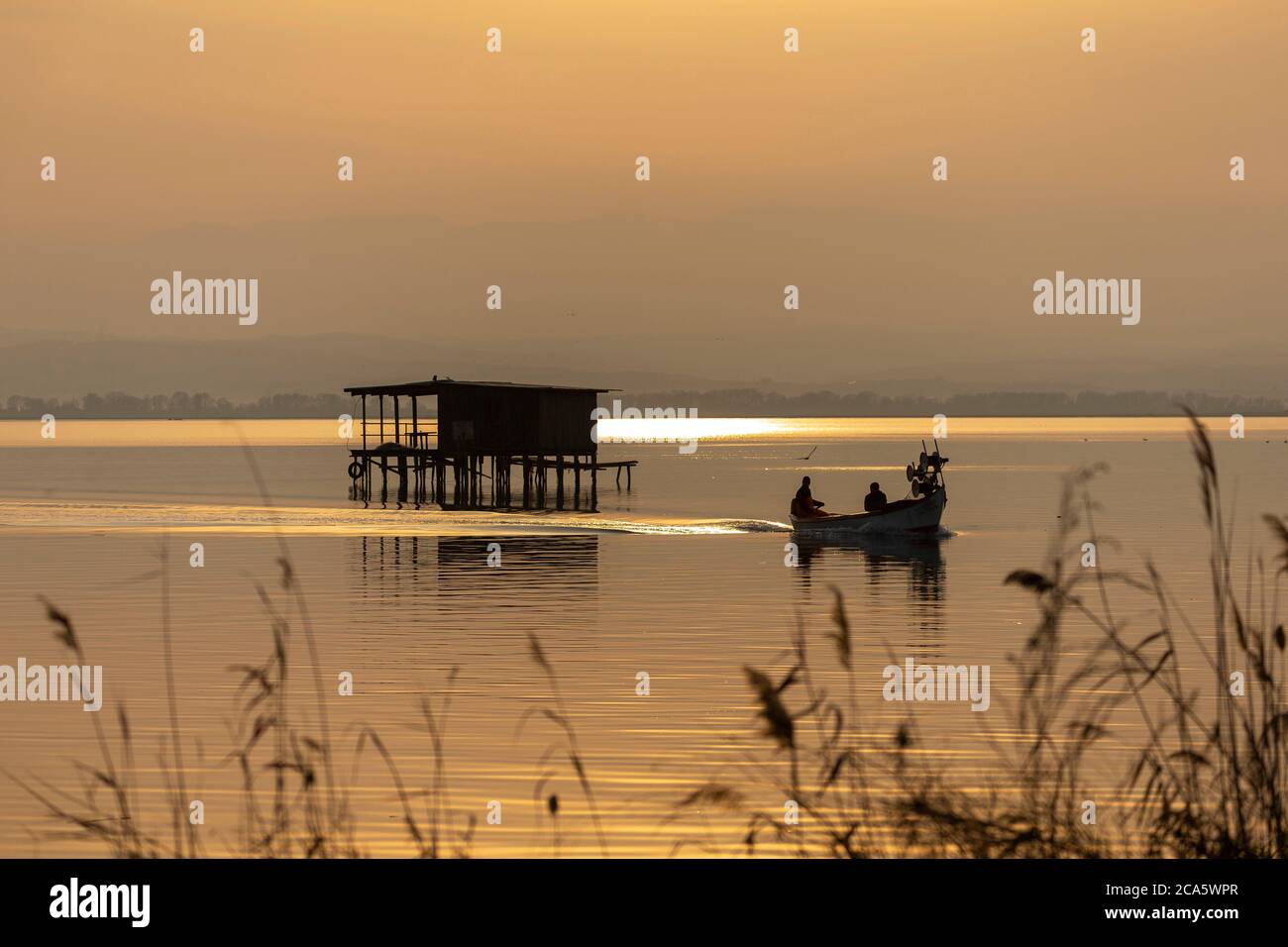 Greece, Macedonia, Thessaloniki, Axios Delta National Park, National ...