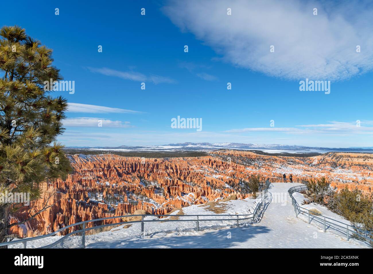 Bryce Point, Bryce Amphitheater, Bryce Canyon National Park, Utah, USA Stock Photo