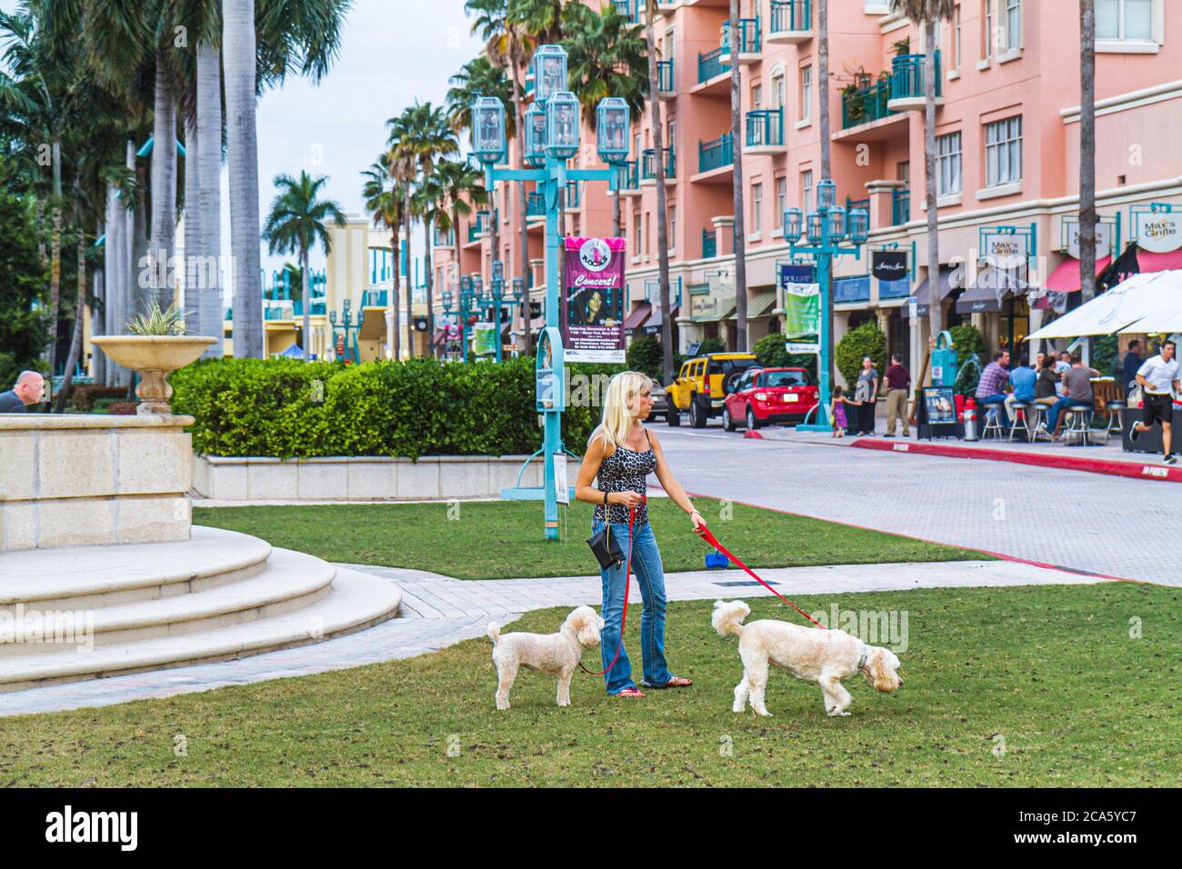 Boca Raton Florida,Mizner Park Plaza Real,shopping shops stores woman walking dogs poodles Stock Photo