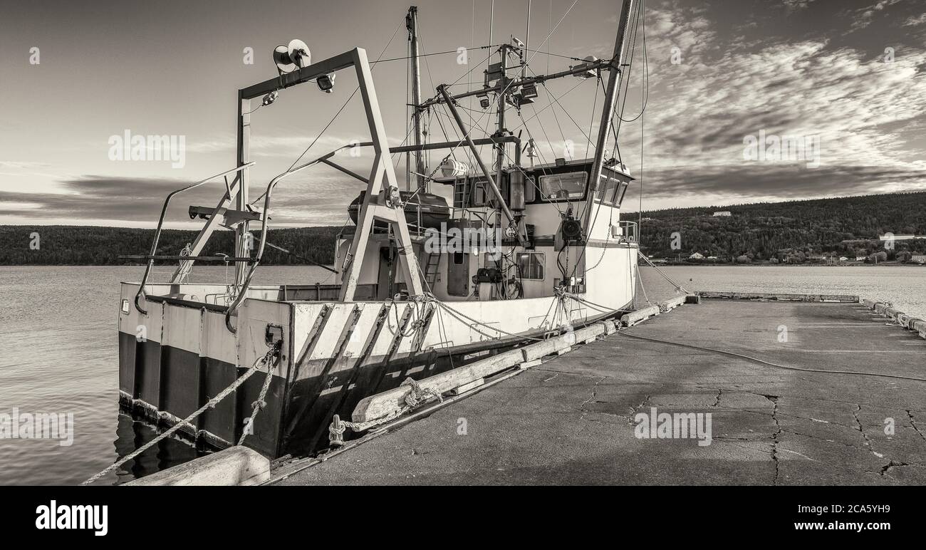 Fishing boat in harbor, Ferryland, Avalon Peninsula, Newfoundland Island, Canada Stock Photo