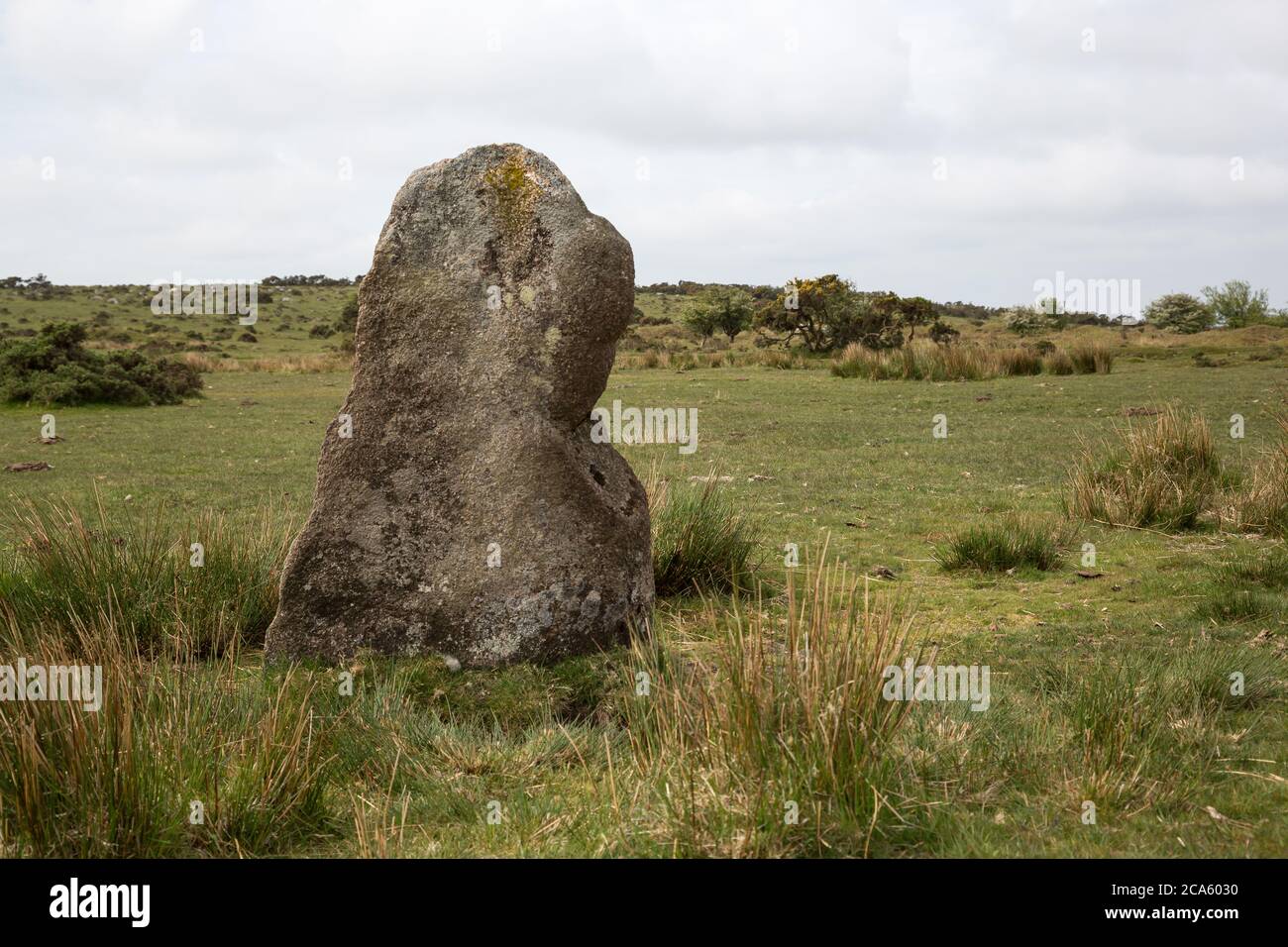 Prehistoric menhir stone close to The Hurlers, Minions, Cornwall UK Stock Photo