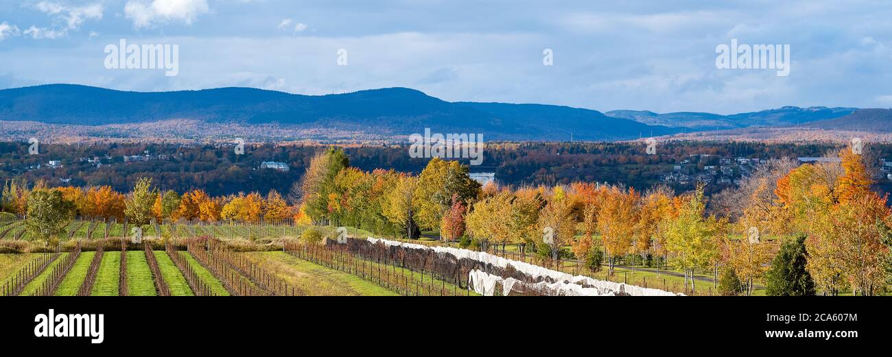 Rural landscape with trees and fields in autumn, Ile d Orleans, Quebec Province, Canada Stock Photo