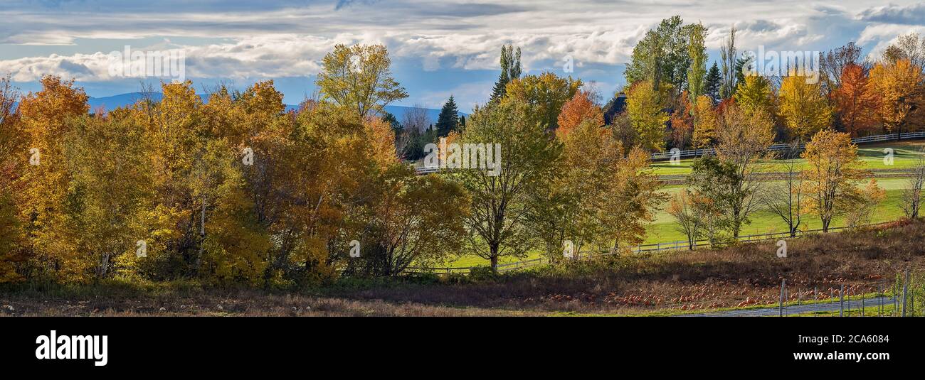 Rural landscape with trees and fields in autumn, Ile d Orleans, Quebec Province, Canada Stock Photo