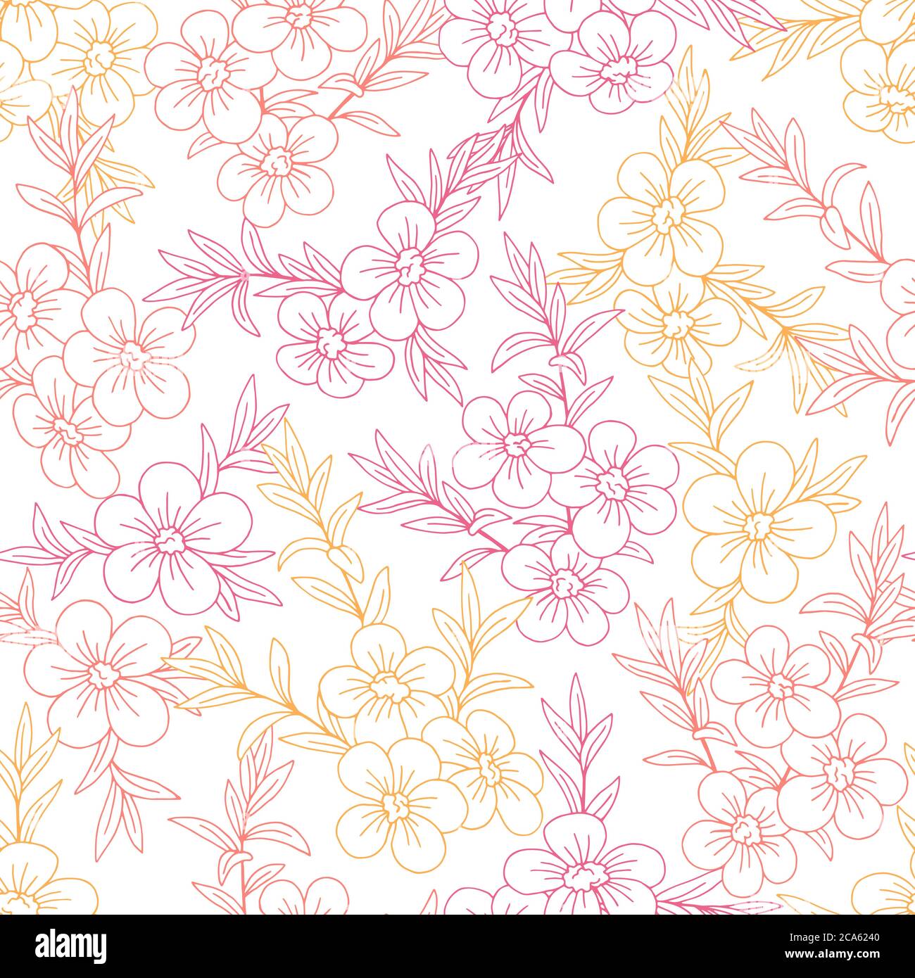 Manuka flower graphic color seamless pattern background sketch