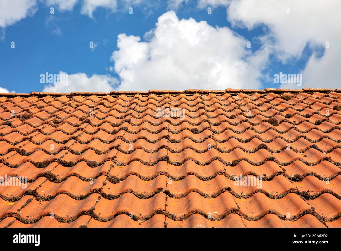 roof with moss-grown shingles against the sky Stock Photo