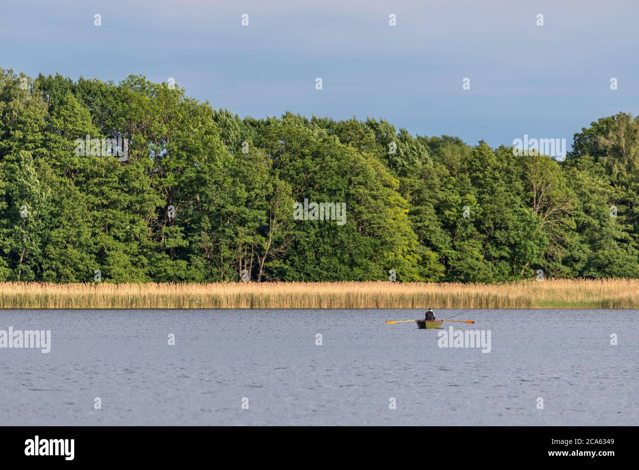 angler in a rowing boat on Lake Krakow in the Mecklenburg Lake District, Germany Stock Photo