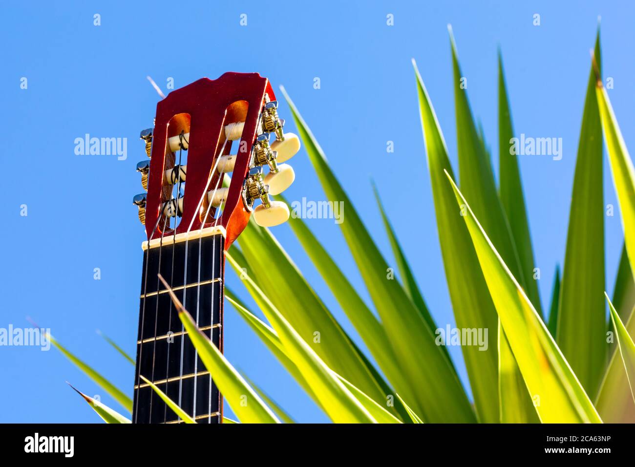 Different perspectives of the neck and headstock of a Spanish guitar in