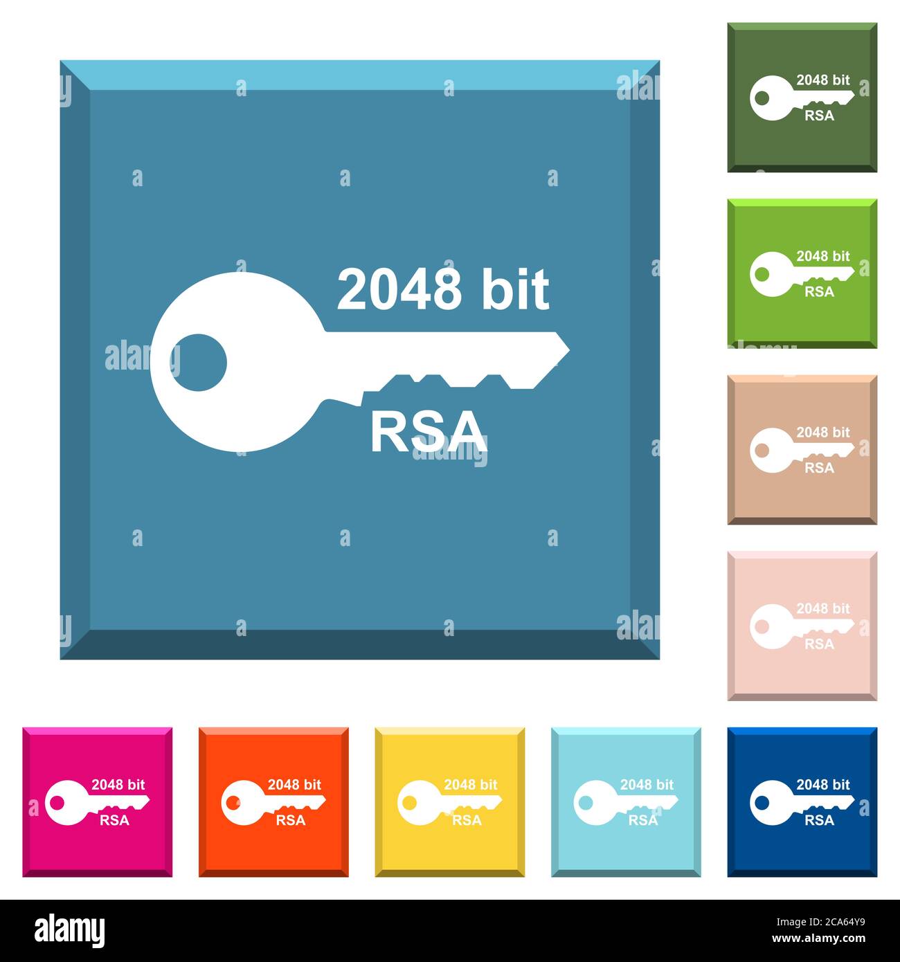 2048 bit rsa encryption white icons on edged square buttons in various ...