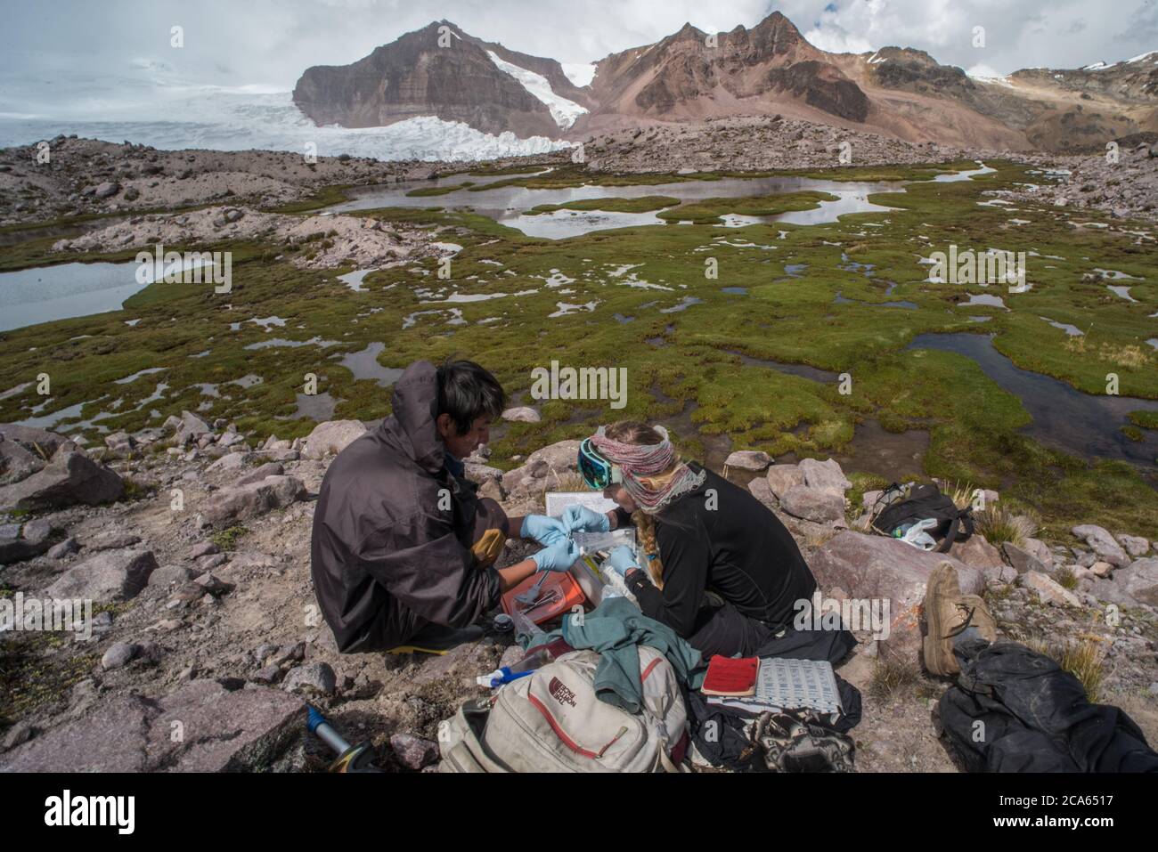 Biologists hires stock photography and images Alamy