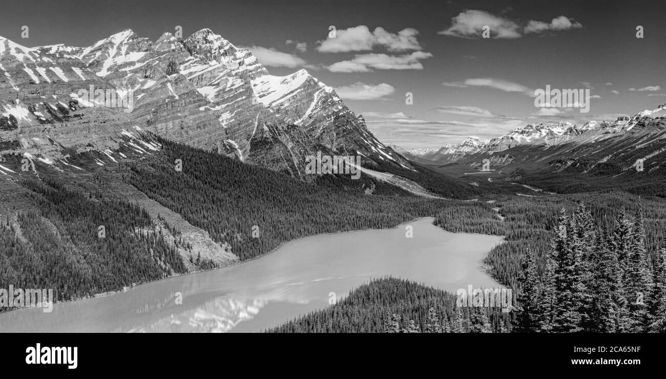Peyto lake panorama Black and White Stock Photos & Images Alamy