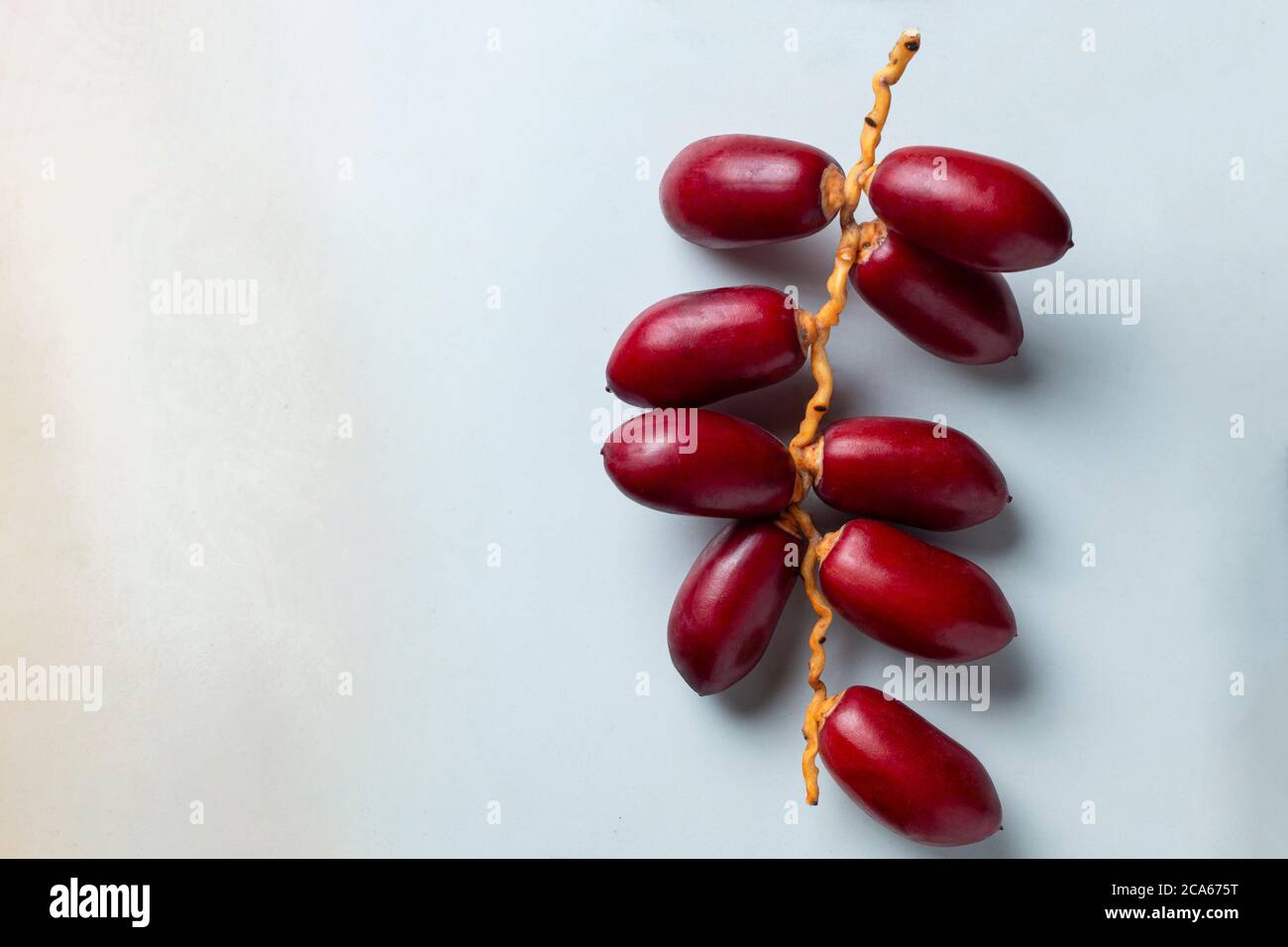 red dates fruit on white background Stock Photo