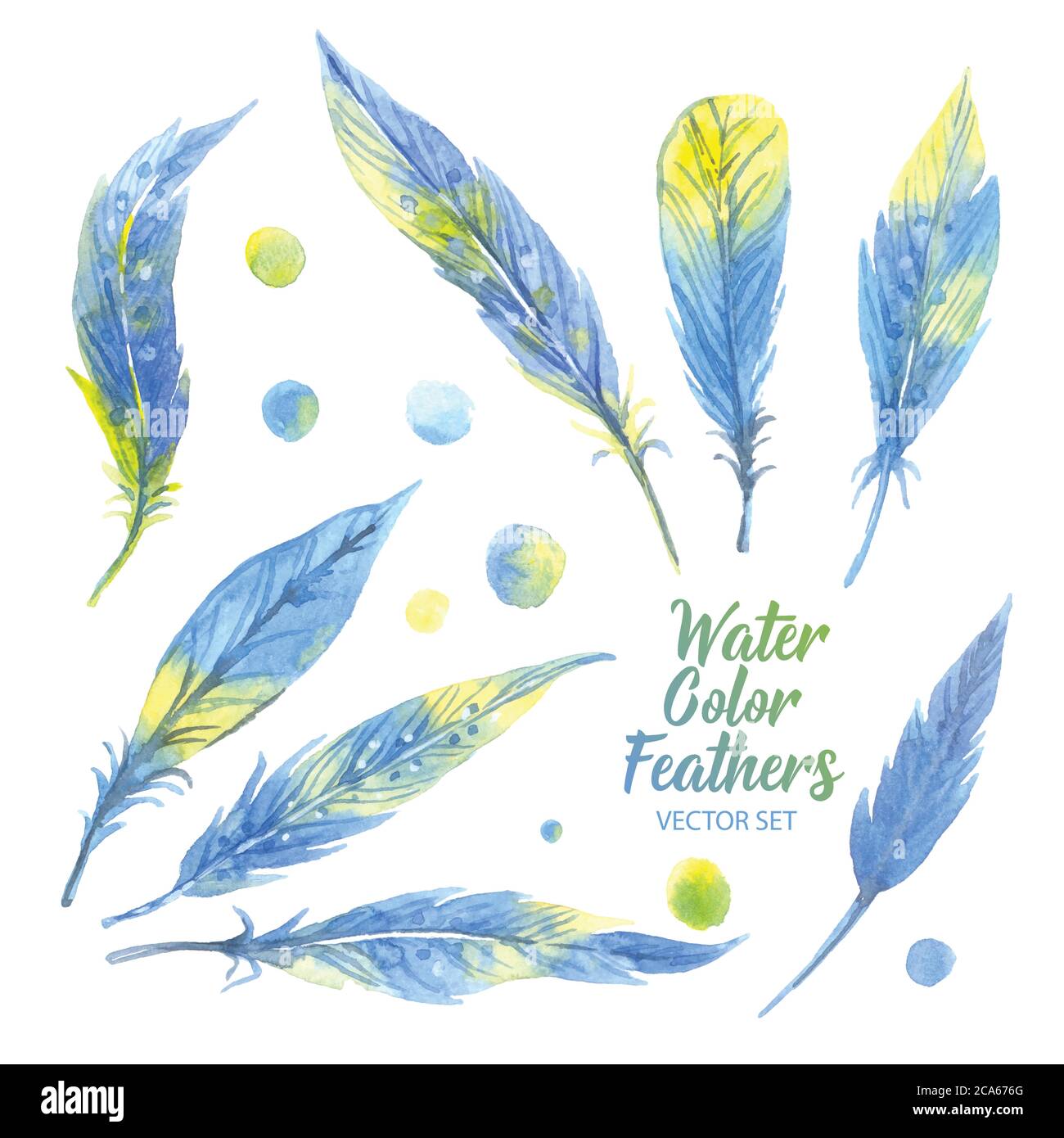 Watercolor blue feather set. Hand drawn vector illustration Stock ...