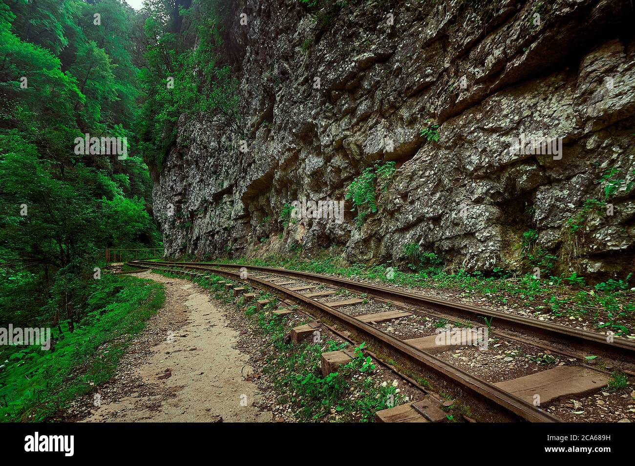 A train on a train track with trees in the background Stock Photo