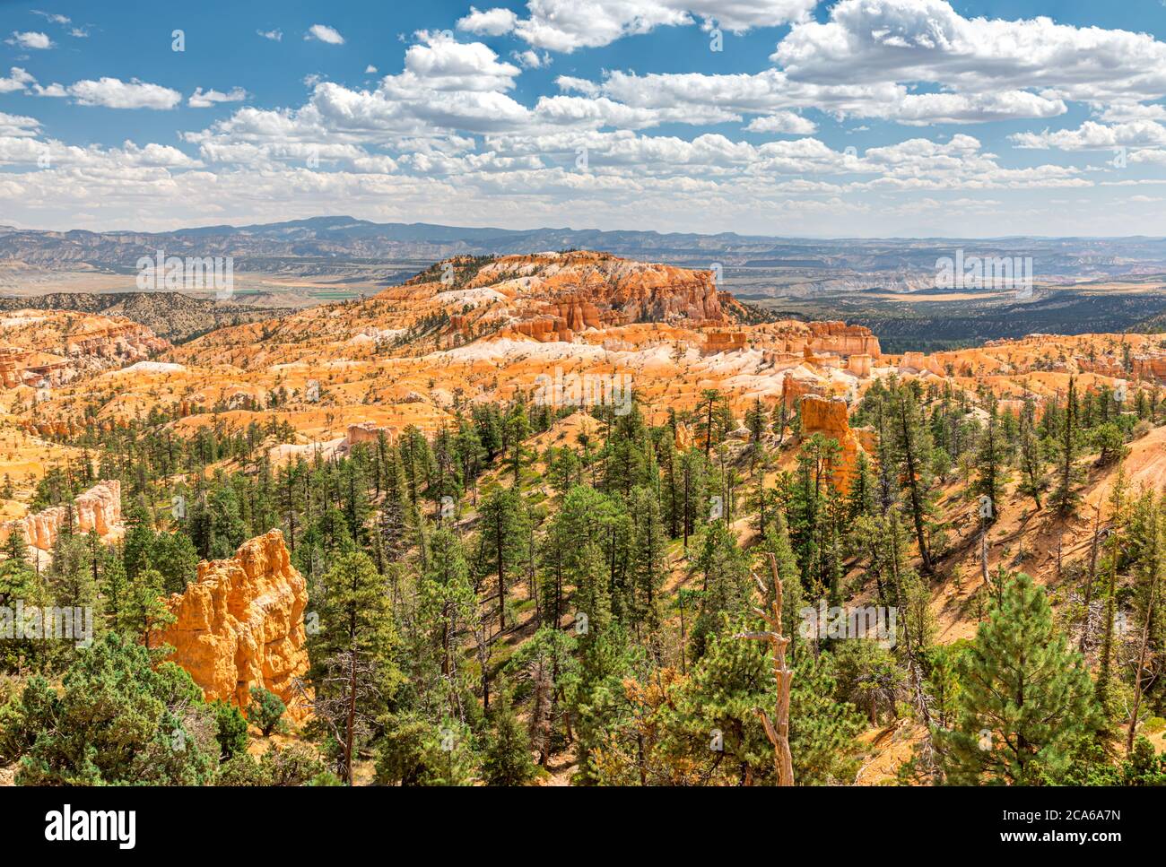 View over the Bryce Canyon, Utah as seen from Bryce Point Stock Photo