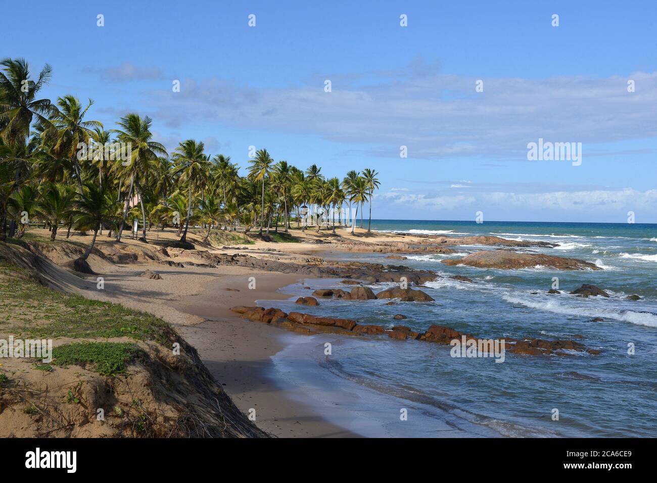 palm trees on beach in sunny day. Una, Bahia, Brazil Stock Photo