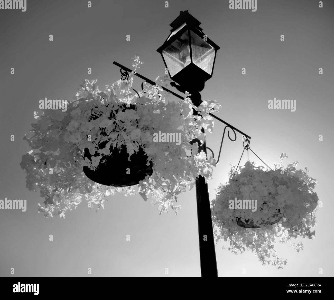 An infrared photo of a lamppost with flower pots. Stock Photo