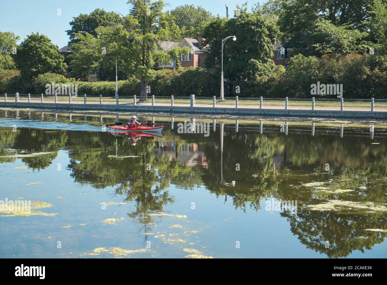 Kayaker rowing on the still water of the Rideau Canal on sunny summer day with reflection Stock Photo