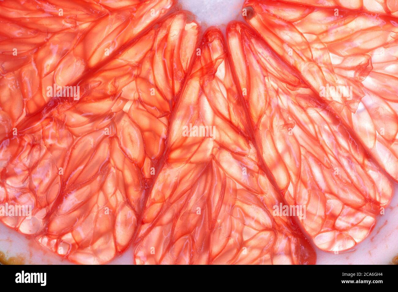 Pink Grapefruit - Close Up Stock Photo