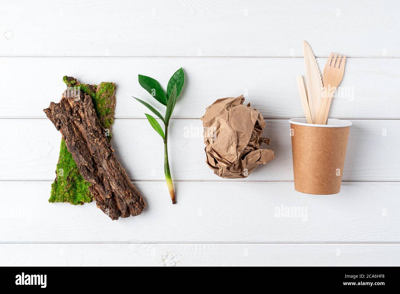 Craft paper coffee cup, green leaves sprout, bark of tree and recycled ...