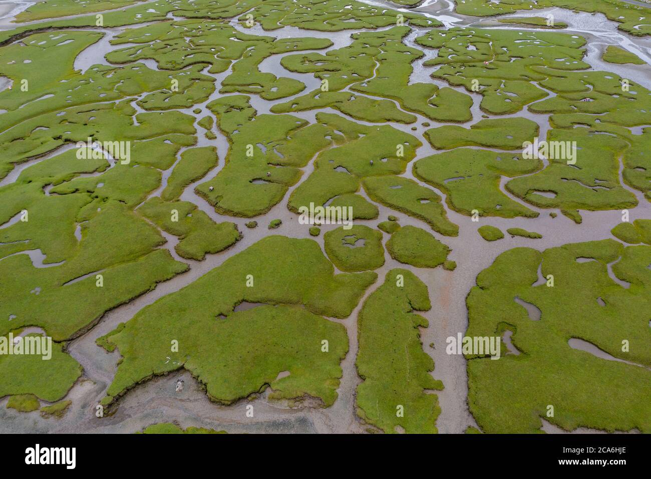 Mulranny salt marshes, Mayo, Ireland Stock Photo