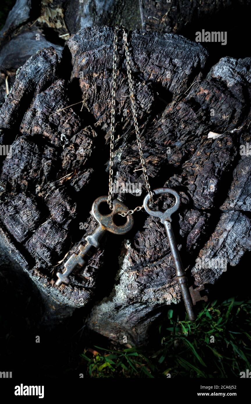 Old antique skeleton keys hanging from metal chain attached to old tree