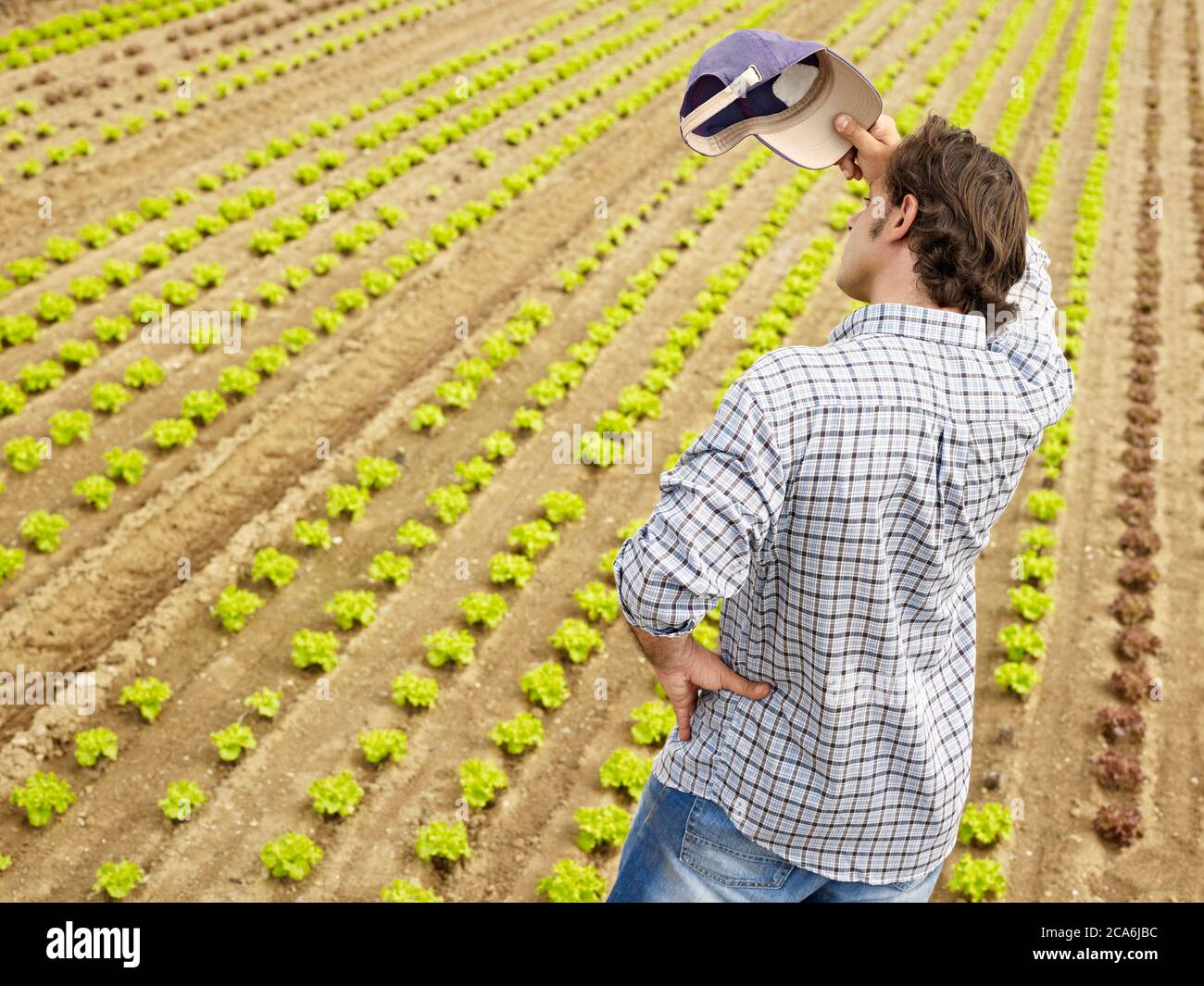 Tired Farmer Wiping Sweat And Contemplating Plants In Greenhouse Stock Photo