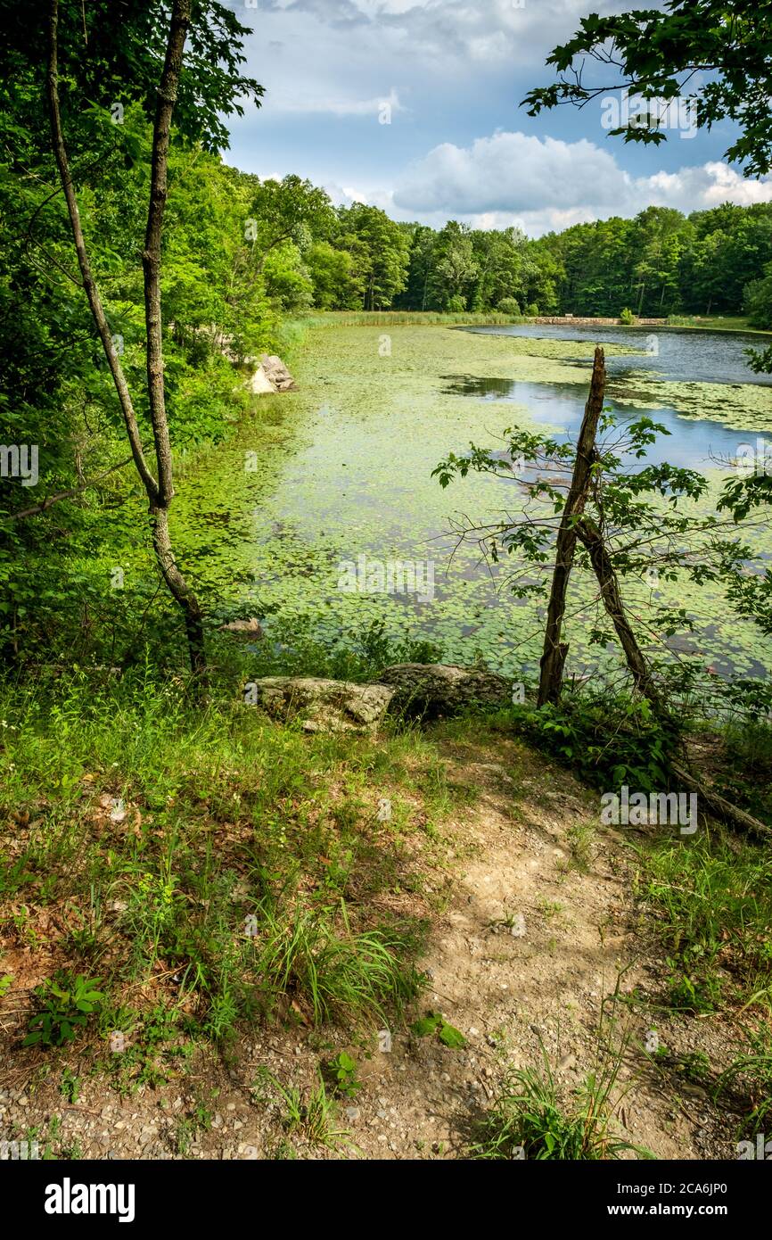 Beautiful summer view of the lake at Wawayanda State Park campground