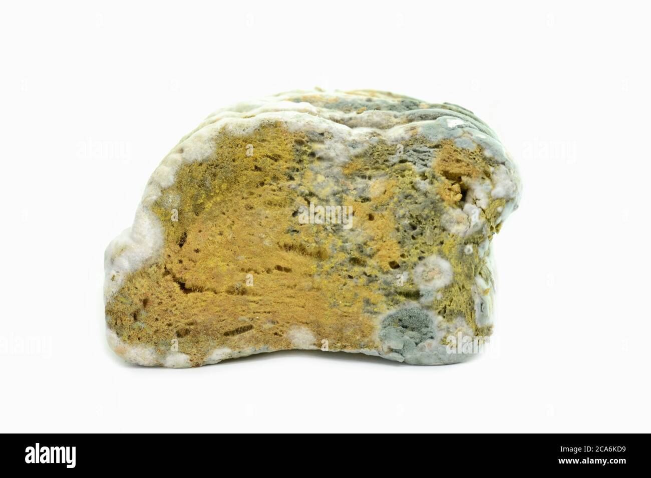 Moldy bread, isolated on white background Stock Photo