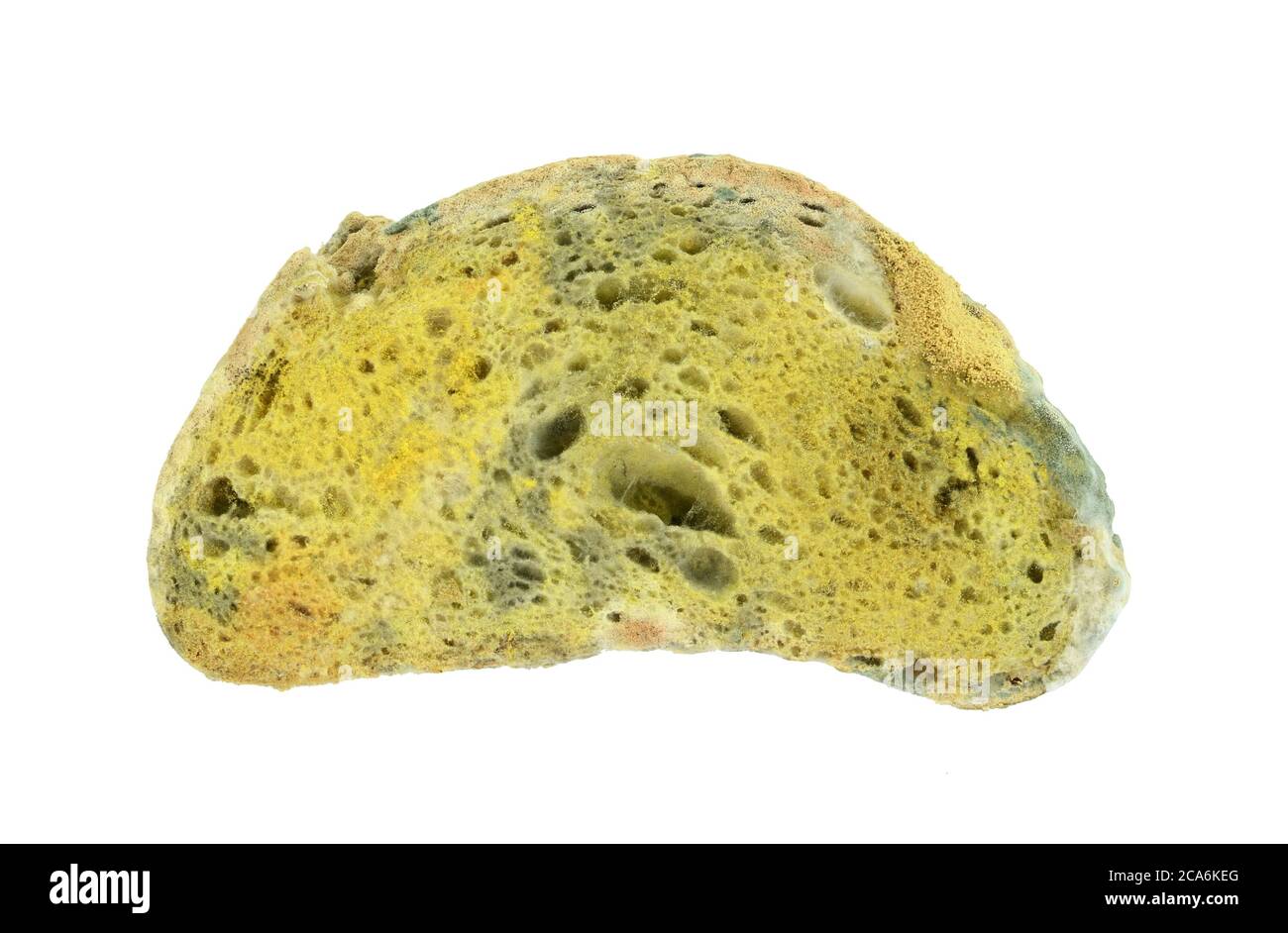 Moldy bread, isolated on white background Stock Photo