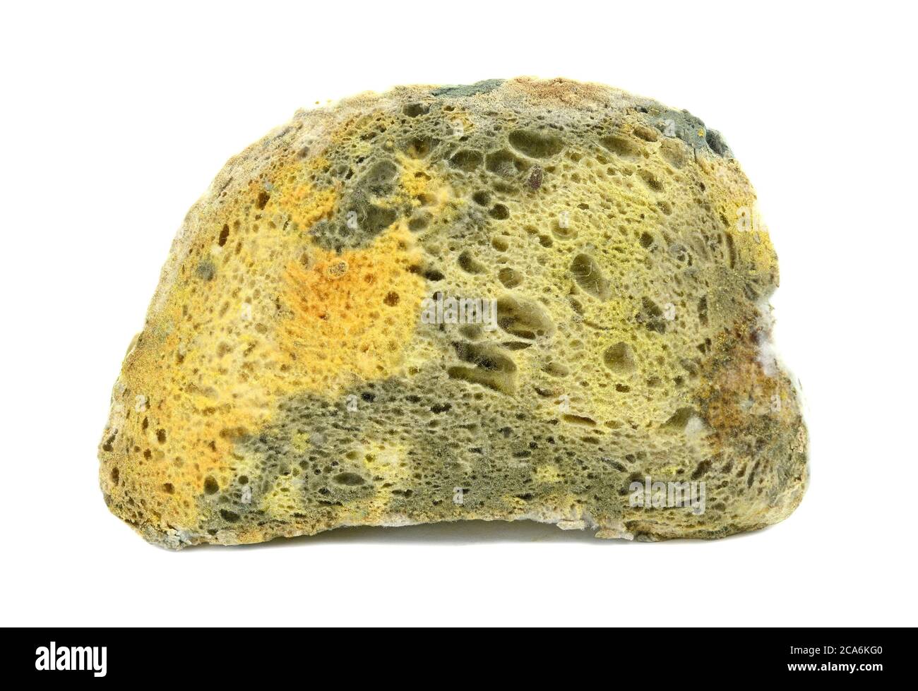 Moldy bread, isolated on white background Stock Photo