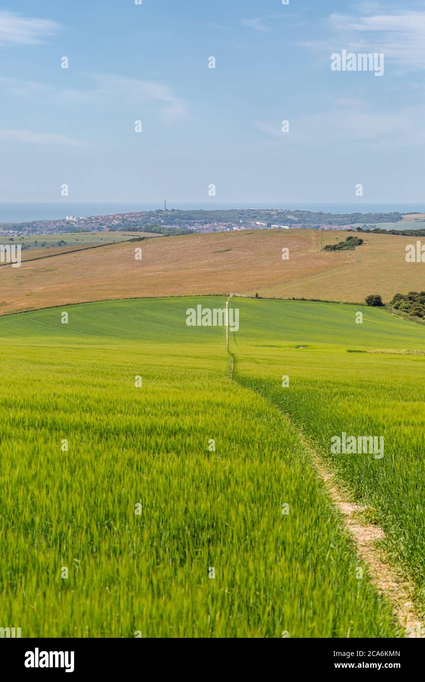 A pathway through farmland in the South Downs, with Sussex coast in the distance Stock Photo