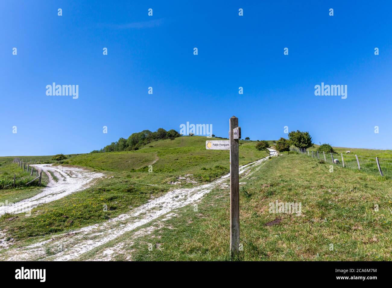 Chalk pathways in the South Downs, with a clear blue sky overhead Stock Photo