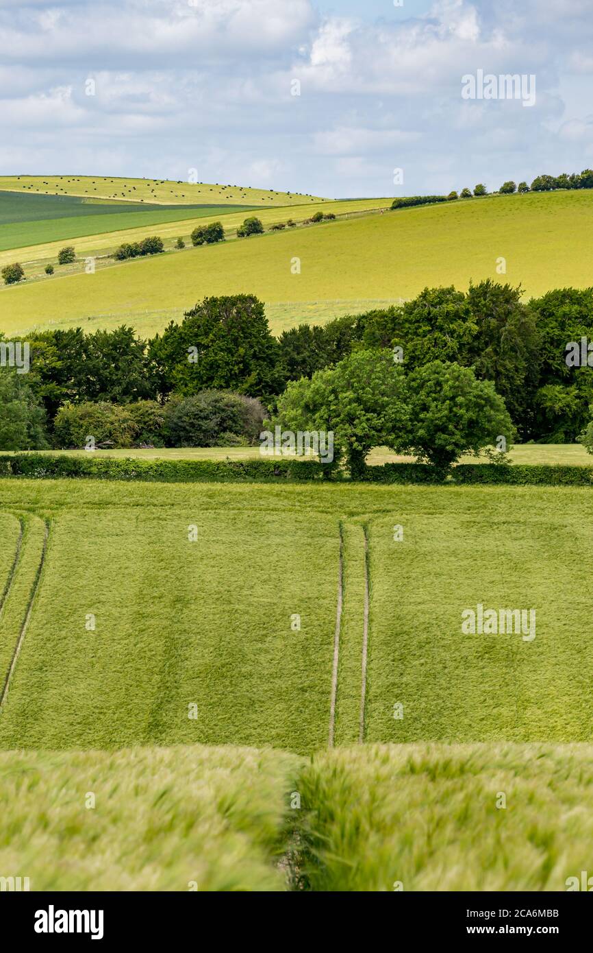 A rural Sussex Landscape on a sunny early summers day Stock Photo - Alamy